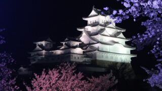 姫路城ライトアップされた桜